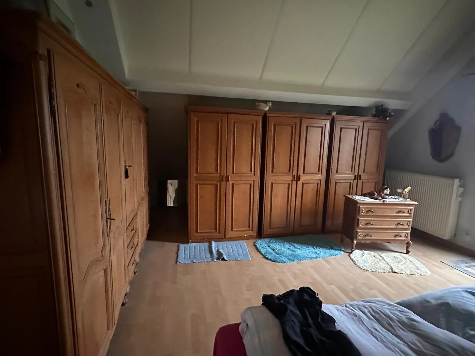 Vide maison professionnel